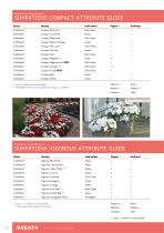 Flower Catalogue 2017 CUTTINGS - 10