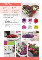 Flower Catalogue 2017 CUTTINGS - 5