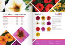 FLOWER CATALOGUE Cuttings - 10