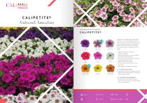 FLOWER CATALOGUE Cuttings - 3