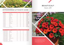 FLOWER CATALOGUE Cuttings - 9