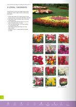 FLOWER CATALOGUE Seeds - 14