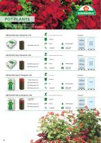 PROPAGATION SUBSTRATES-6