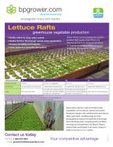 Lettuce Rafts - 1