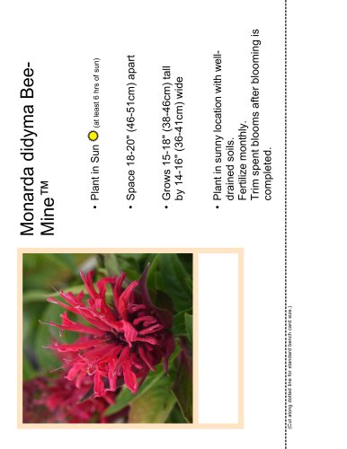 Monarda didyma BeeMine™