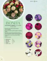 CUT FLOWER CATALOG 2024/2025 - 6