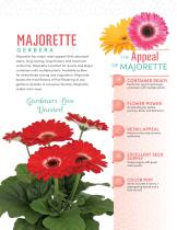 MAJORETTE GERBERA - 2