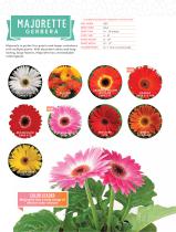 MAJORETTE GERBERA - 3