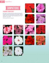 ORNAMENTALS CATALOG 2023 & 2024 - 14