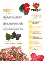 VIKING® BEGONIA - 2