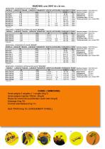chisel_semichisel_kon_sch_gascon_machines_agricoles-3