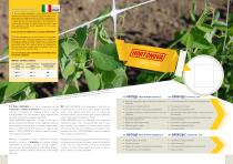 SUPPORT MESH FOR HORTICULTURE AND FLORICULTURE-2