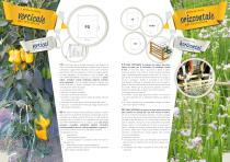 SUPPORT MESH FOR HORTICULTURE AND FLORICULTURE-3