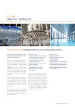 Ozone generating systems-2