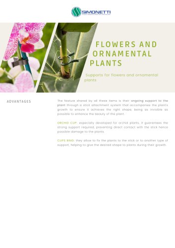 Flowers & Ornamental Plants