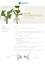Grafting Clips Cucurbitaceae-1