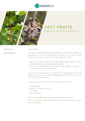 Soft Fruits