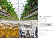 Multi-span greenhouses-4
