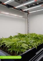  Climatic Chambers for all stages of Medicinal Cannabis-5