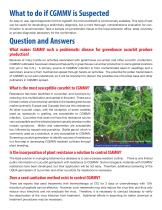 Cucumber Green Mottle Mosaic Virus-8