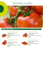 Catalogue Tomates hors sol 2020 - 4