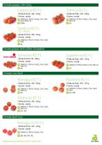 Catalogue Tomates hors sol 2020 - 5