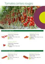 Catalogue Tomates hors sol 2020 - 8