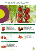 Catalogue Tomates hors sol 2020 - 9