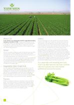 CELERY-2