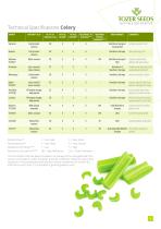 CELERY-3