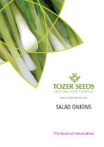 Salad Onions - 1