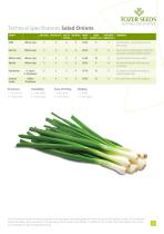 Salad Onions - 3