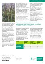 Verticillium Wilt Tolerance - 2