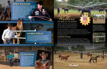 Horse walkers-4
