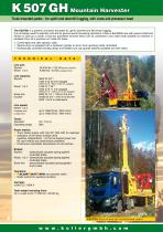 Koller_english-8