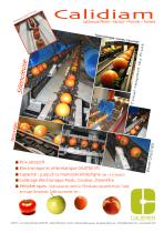 CaliDIAM-Tomate-1