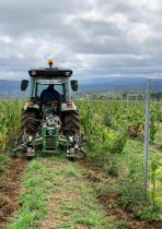 Cultivateurs et interceps-13