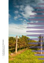 Cultivateurs et interceps-4