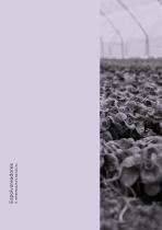 Espolvoreadores-2
