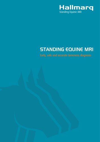 STANDING EQUINE MRI