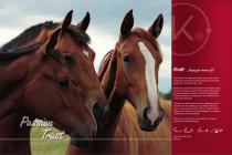 PRODUCT CATALOGUE-2