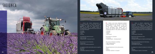 Saliunca &ndash; Lavender Version