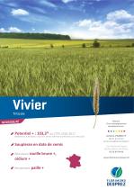 vivier - 1