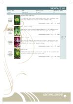 CATALOGUE JARDIN - 5