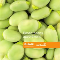 Broad beans assortment - 1