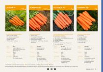 Carrot brochure-15