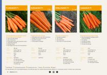 Carrot brochure-16