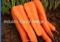 Carrot brochure-18