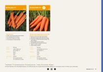 Carrot brochure-19
