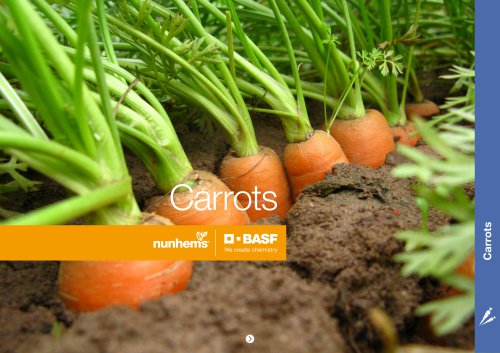 Carrot brochure